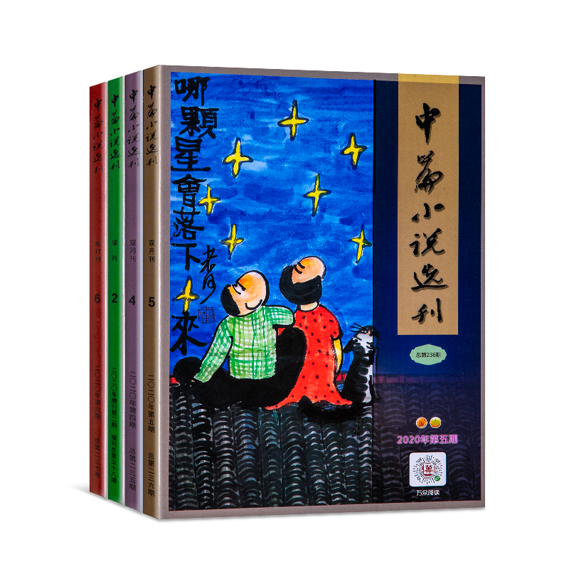 中篇(piān)小說選刊