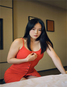 莲花电视剧